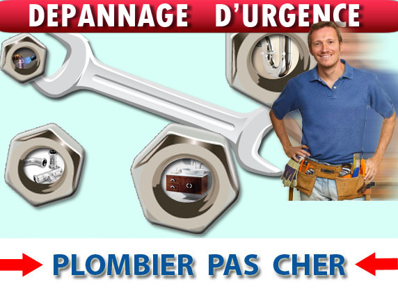 Canalisation Bouchée epinay Champlatreux 95270